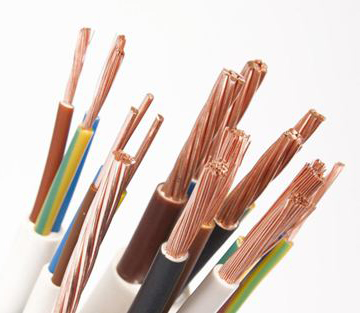 �Ǳ��õ���