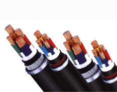 NH-YDYD �ͻ����