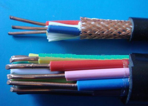 ���ο��Ƶ���