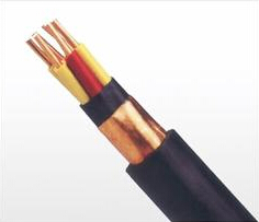 ��Ƶ��·�����ε�������