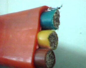 YGZ�͸��¹��𽺵���